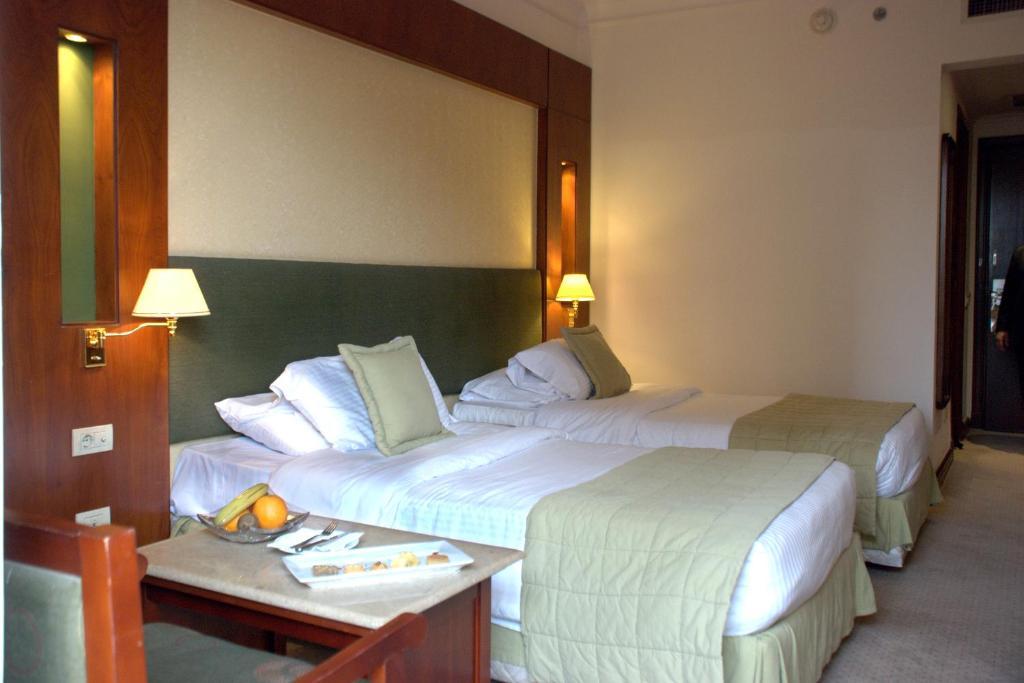 Hotel Safir Cairo Giza